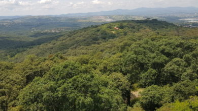 Reafirma gobierno de Puebla compromiso con medio ambiente; protege 859 hectáreas más en Flor del Bosque