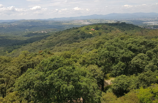 Reafirma gobierno de Puebla compromiso con medio ambiente; protege 859 hectáreas más en Flor del Bosque