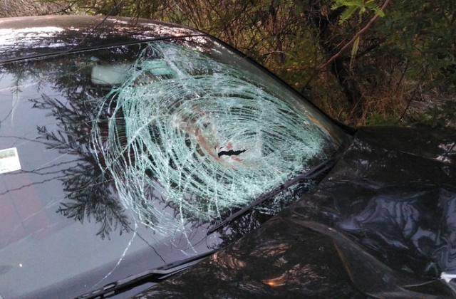 Cuerpo en autopista Puebla-Orizaba estaba maniatado