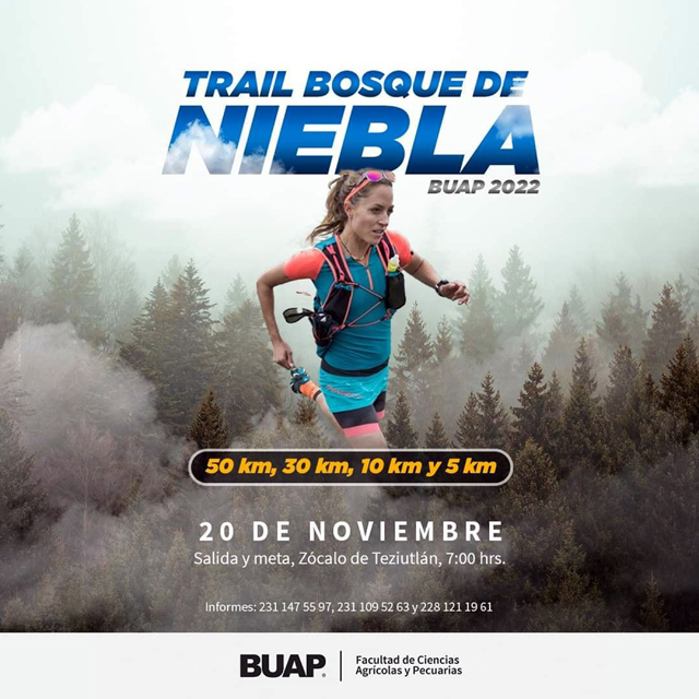 Ultra Trail Bosque De Niebla Buap Una Carrera De Monta A Y Una Experiencia Est Tica Tribuna