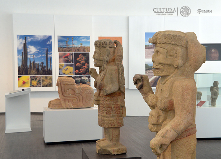 Museo de sitio en Tehuacán continúa cerrado por falta de rehabilitación