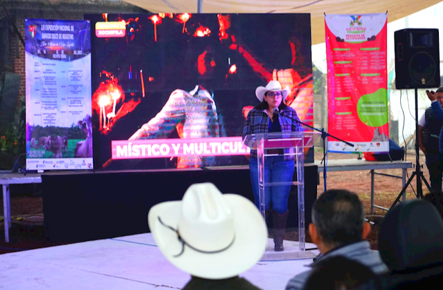 Xicotepec, sede de 53ª Exposición Nacional de Ganado Suizo de Registro
