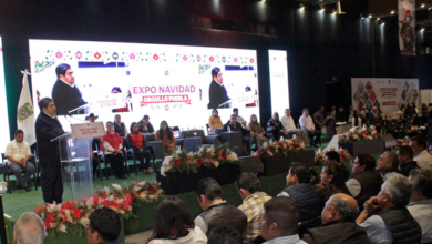 Expo Navideña