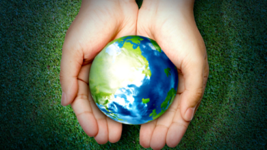 Hora del Planeta 2023: 200 países se suman hoy 25 de marzo