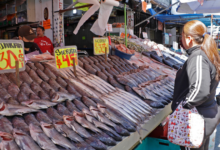 Precio de pescados y mariscos sube hasta 60 % en comparación con 2022