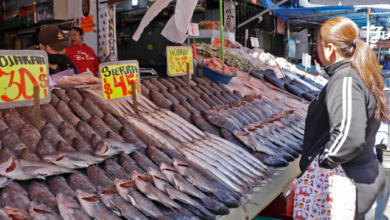 Precio de pescados y mariscos sube hasta 60 % en comparación con 2022