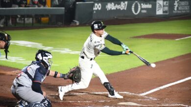 Pericos Tigres