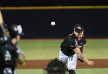 Pericos de Puebla, barrido por Guerreros con juego sin hit ni carrera