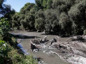 CDH Puebla emite posicionamiento sobre la contaminación del Río Atoyac y la defensa de los derechos humanos.