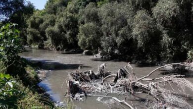 CDH Puebla emite posicionamiento sobre la contaminación del Río Atoyac y la defensa de los derechos humanos.
