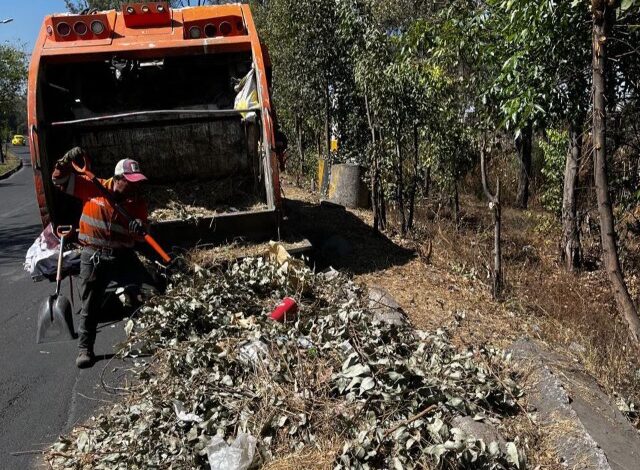 Cuadrillas del OOSL realizando limpieza preventiva en barrancas de Puebla antes de la temporada de lluvias.