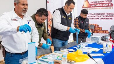 Médicos veterinarios instalando trampas para prevenir el Gusano Barrenador del Ganado en la Sierra Negra de Puebla.