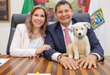 El gobernador del estado de Puebla, Alejandro Armenta Mier, dio un paso firme en su agenda a favor de los derechos de los animales al anunciar la adopción de un nuevo perrito rescatado.