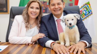 El gobernador del estado de Puebla, Alejandro Armenta Mier, dio un paso firme en su agenda a favor de los derechos de los animales al anunciar la adopción de un nuevo perrito rescatado.