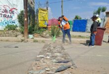 Con el objetivo de fortalecer la imagen urbana y contribuir al bienestar de los habitantes, el Organismo Operador del Servicio de Limpia de San Pedro Cholula realizó con éxito una jornada de recolección de residuos sólidos en la junta auxiliar de San Matías Cocoyotla.