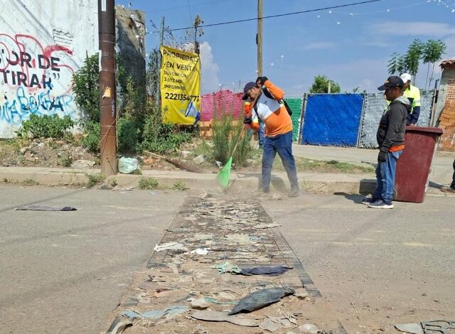 Con el objetivo de fortalecer la imagen urbana y contribuir al bienestar de los habitantes, el Organismo Operador del Servicio de Limpia de San Pedro Cholula realizó con éxito una jornada de recolección de residuos sólidos en la junta auxiliar de San Matías Cocoyotla.