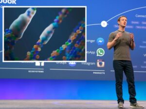 Biohub, la organización sin fines de lucro fundada por el director de Meta, Mark Zuckerberg, y su esposa, la médica Priscilla Chan, ha presentado un revolucionario atlas de proteínas construido con inteligencia artificial (IA). Este avance científico tiene como objetivo principal acelerar drásticamente el desarrollo de nuevos tratamientos médicos a nivel global.