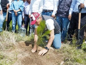 El Ayuntamiento de Puebla logró sembrar 50 mil árboles en diversas zonas de la capital poblana. Así lo informó el regidor Rodrigo Durán, quien destacó que se cumplió con la meta establecida al inicio de la administración.