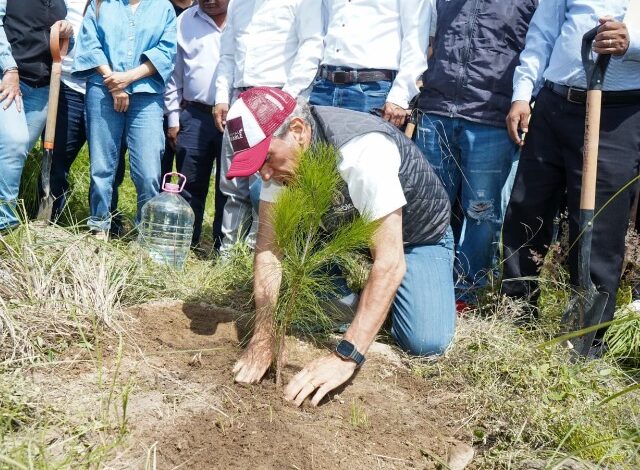 El Ayuntamiento de Puebla logró sembrar 50 mil árboles en diversas zonas de la capital poblana. Así lo informó el regidor Rodrigo Durán, quien destacó que se cumplió con la meta establecida al inicio de la administración.