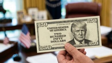 Los legisladores republicanos han puesto en marcha una iniciativa que busca romper con una tradición financiera de más de un siglo y medio en Estados Unidos: emitir un nuevo billete de 250 dólares con el rostro del presidente Donald Trump.