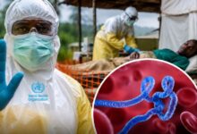 El director general de la Organización Mundial de la Salud (OMS), Tedros Adhanom Ghebreyesus, advirtió sobre “la amplitud y la rapidez” del brote de ébola que afecta a la República Democrática del Congo (RDC)