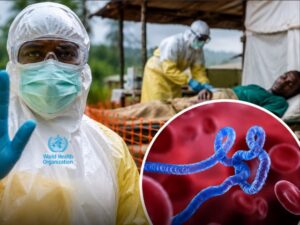 El director general de la Organización Mundial de la Salud (OMS), Tedros Adhanom Ghebreyesus, advirtió sobre “la amplitud y la rapidez” del brote de ébola que afecta a la República Democrática del Congo (RDC)