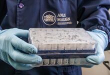 Los Centros para el Control y la Prevención de Enfermedades (CDC) de Estados Unidos aseguraron que el riesgo para la población estadounidense es “extremadamente bajo” tras el brote de hantavirus