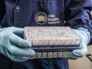 Los Centros para el Control y la Prevención de Enfermedades (CDC) de Estados Unidos aseguraron que el riesgo para la población estadounidense es “extremadamente bajo” tras el brote de hantavirus