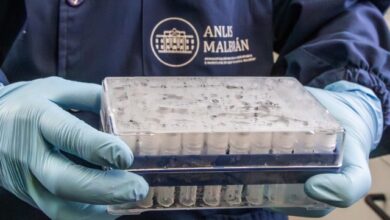 Los Centros para el Control y la Prevención de Enfermedades (CDC) de Estados Unidos aseguraron que el riesgo para la población estadounidense es “extremadamente bajo” tras el brote de hantavirus