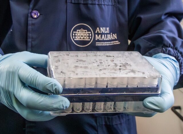 Los Centros para el Control y la Prevención de Enfermedades (CDC) de Estados Unidos aseguraron que el riesgo para la población estadounidense es “extremadamente bajo” tras el brote de hantavirus