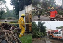 Las fuertes lluvias en Puebla acompañadas de rachas de viento activaron los protocolos preventivos del Gobierno de la Ciudad. Diversas dependencias municipales mantienen un trabajo coordinado para salvaguardar a la población y reducir los riesgos asociados al clima.