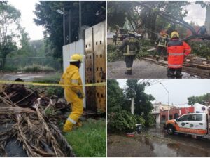 Las fuertes lluvias en Puebla acompañadas de rachas de viento activaron los protocolos preventivos del Gobierno de la Ciudad. Diversas dependencias municipales mantienen un trabajo coordinado para salvaguardar a la población y reducir los riesgos asociados al clima.