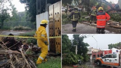 Las fuertes lluvias en Puebla acompañadas de rachas de viento activaron los protocolos preventivos del Gobierno de la Ciudad. Diversas dependencias municipales mantienen un trabajo coordinado para salvaguardar a la población y reducir los riesgos asociados al clima.