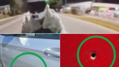 Este lunes 1 de junio, se difundió un video en redes sociales en el que se observa un láser de color verde que sale de un edificio ubicado en la Vía Atlixcáyotl y apunta directamente hacia la vialidad. Debido a la zona, usuarios señalaron que podría estar relacionado con el caso del denominado "tirador anónimo".