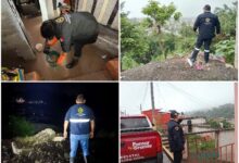 Ante las afectaciones causadas por las lluvias de la tormenta tropical Boris, el Gobierno del Estado de Puebla activó una respuesta inmediata en 15 municipios. A través de la Coordinación General de Protección Civil, las autoridades estatales mantienen el monitoreo permanente y la atención en los municipios que presentaron afectaciones y daños menores.