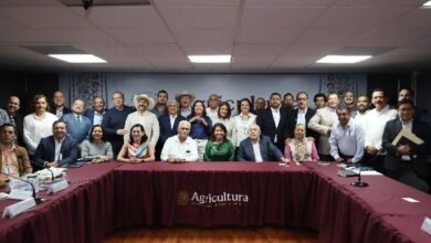 Con el objetivo de acelerar la transformación del campo y garantizar la soberanía alimentaria, la secretaria de Agricultura y Desarrollo Rural de Puebla (SADR), Ana Laura Altamirano Pérez, participó en una reunión de trabajo nacional encabezada por la titular de la SADER