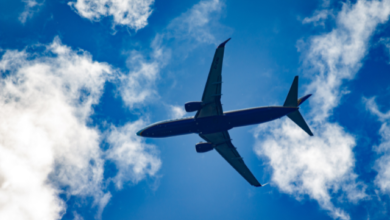 avión_tribunanoticias