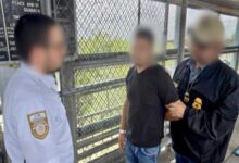 El embajador de Estados Unidos en México, Ronald Johnson, encendió el debate bilateral este lunes al asegurar que su país ha entregado a 313 ciudadanos mexicanos buscados por la justicia, gracias a un acuerdo de cooperación con las autoridades mexicanas.