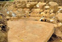 Un impactante descubrimiento arqueológico en el este de México ha encendido las alarmas de la comunidad científica: investigadores del Instituto Nacional de Antropología e Historia (INAH) localizaron los restos de una misteriosa edificación y una escultura con rasgos semejantes a los de la cultura maya, presentando características "nunca vistas" en el estado de Veracruz