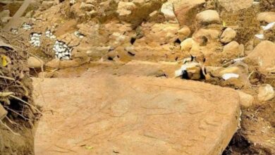 Un impactante descubrimiento arqueológico en el este de México ha encendido las alarmas de la comunidad científica: investigadores del Instituto Nacional de Antropología e Historia (INAH) localizaron los restos de una misteriosa edificación y una escultura con rasgos semejantes a los de la cultura maya, presentando características "nunca vistas" en el estado de Veracruz