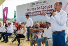 Con una inversión total de 19 millones 746 mil pesos, la Secretaría de Agricultura y Desarrollo Rural (SADR) de Puebla entregó más de 5 mil 600 sacos de semilla de sorgo a más de mil 200 productores de las microrregiones de Chiautla de Tapia e Izúcar de Matamoros