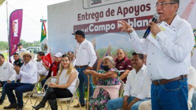 Con una inversión total de 19 millones 746 mil pesos, la Secretaría de Agricultura y Desarrollo Rural (SADR) de Puebla entregó más de 5 mil 600 sacos de semilla de sorgo a más de mil 200 productores de las microrregiones de Chiautla de Tapia e Izúcar de Matamoros