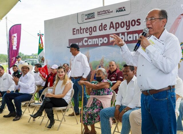 Con una inversión total de 19 millones 746 mil pesos, la Secretaría de Agricultura y Desarrollo Rural (SADR) de Puebla entregó más de 5 mil 600 sacos de semilla de sorgo a más de mil 200 productores de las microrregiones de Chiautla de Tapia e Izúcar de Matamoros