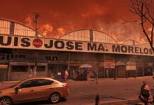 Lo que comenzó como un reacomodo delictivo tras la muerte de un capo terminó en una guerra abierta. Desde 2023, el Mercado Morelos se convirtió en un territorio marcado por ejecuciones, "levantones", cobro de piso y el hallazgo de fosas clandestinas, todo por el control absoluto del narcomenudeo en la región.