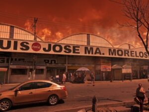 Lo que comenzó como un reacomodo delictivo tras la muerte de un capo terminó en una guerra abierta. Desde 2023, el Mercado Morelos se convirtió en un territorio marcado por ejecuciones, "levantones", cobro de piso y el hallazgo de fosas clandestinas, todo por el control absoluto del narcomenudeo en la región.