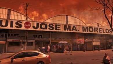 Lo que comenzó como un reacomodo delictivo tras la muerte de un capo terminó en una guerra abierta. Desde 2023, el Mercado Morelos se convirtió en un territorio marcado por ejecuciones, "levantones", cobro de piso y el hallazgo de fosas clandestinas, todo por el control absoluto del narcomenudeo en la región.