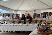 El municipio de San Nicolás de los Ranchos se declara listo para celebrar el 25 aniversario del Festival Internacional del Chile en Nogada