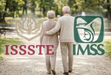 Si cobras la Pensión IMSS o ISSSTE, es fundamental que conozcas quiénes deben comprobar supervivencia en junio para garantizar que el depósito mensual de tu dinero no sea retenido