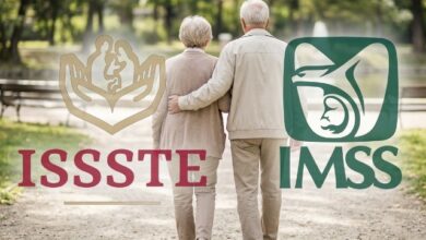 Si cobras la Pensión IMSS o ISSSTE, es fundamental que conozcas quiénes deben comprobar supervivencia en junio para garantizar que el depósito mensual de tu dinero no sea retenido