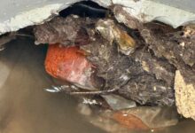 Trabajos de desazolve de emergencia y limpieza fueron desplegados por el Gobierno Municipal de San Martín Texmelucan en la zona de La Joya-El Cerrito, luego de que un taponamiento masivo de basura y escombro en el colector sanitario provocara el retorno de aguas residuales y afectara a cinco viviendas.